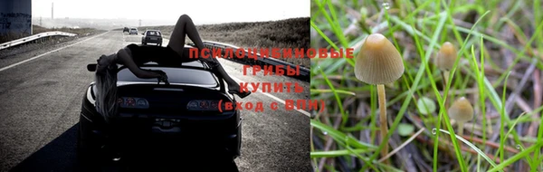 бутират Бородино