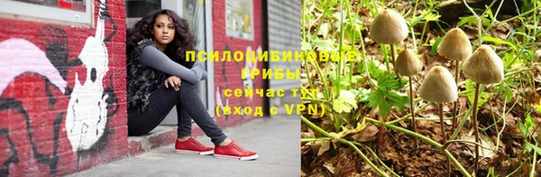 бутират Бородино