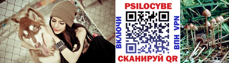 как найти Балашиха Псилоцибиновые грибы GOLDEN TEACHER